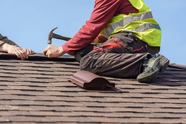 Best Roof Gutter Cleaning  in Sky Valley, CA
